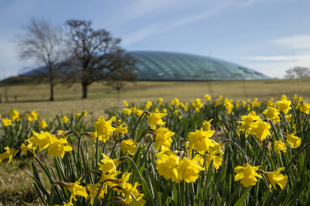 February HalfTerm Highlights What’s on in South Wales?